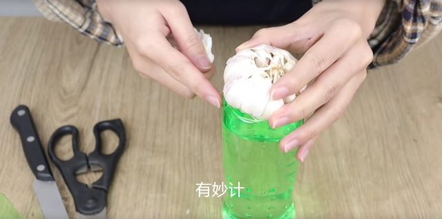 矿泉水瓶变废为宝，废旧的矿泉水瓶如何变废为宝（空塑料瓶别再扔掉了）