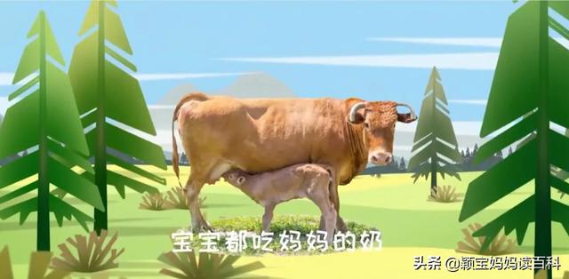 什么叫哺乳动物，什么叫哺乳动物怎么听一遍啊（<二十一>——强大的哺乳动物）