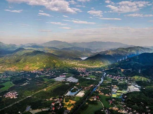 诸暨特产，诸暨特产香榧（每天一县：浙江省绍兴市诸暨市）