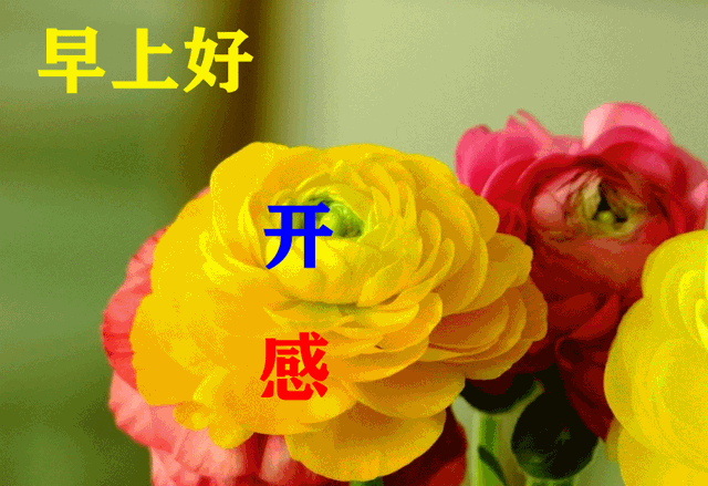 早安语录正能量短句，早安语录正能量短句100字大全（正能量简单语录句子）