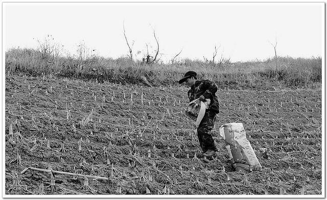 人民币上的人物，第四套人民币人物的排序是什么样的（1962年出版的1元钱上）