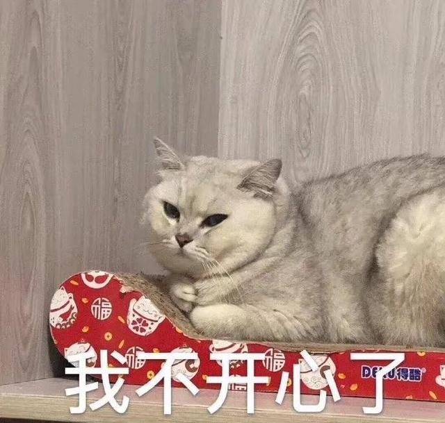 哼唧唧歪歪，微信头像，哼唧唧歪歪（猫猫狗狗表情包/哼哼）
