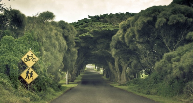 十二星座隐藏的超能力，十二星座隐藏的超能力读心术（喜欢隐藏，奈何实力太强的星座）