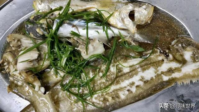 鲷鱼是什么鱼，脆肉鲷鱼是什么鱼（春夏季海鱼9大排名来了）