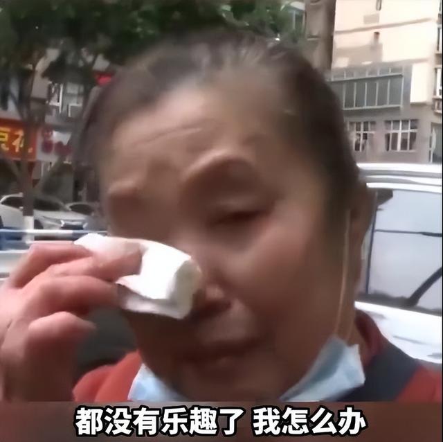 微信诞生已经十年了，70岁重庆阿姨微信被封好友全无