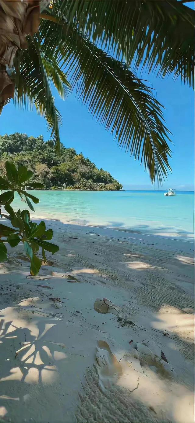 好看干净的背景图   夏天,好看干净的背景图书本天蓝色(夏日凉爽壁纸