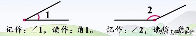 1公顷等于多少亩或多少平方米，一公顷是多少亩（小学数学四年级上册）