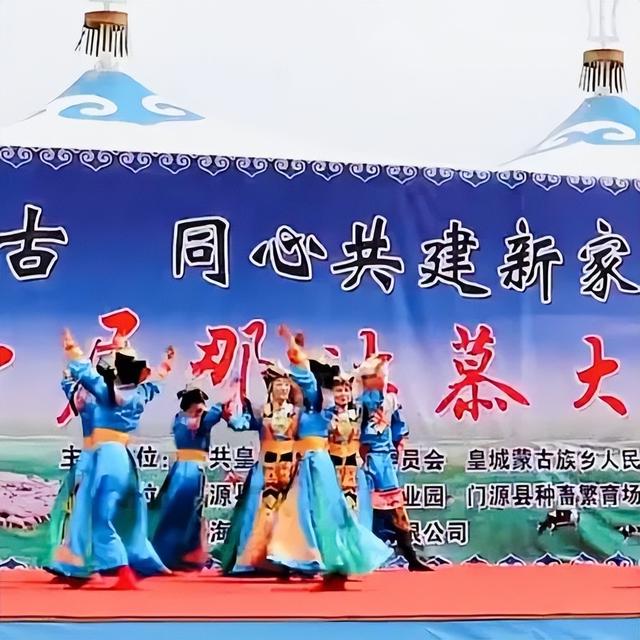 那达慕大会是哪个民族的节日，那达慕大会是什么族的（青海这里的那达慕大会）