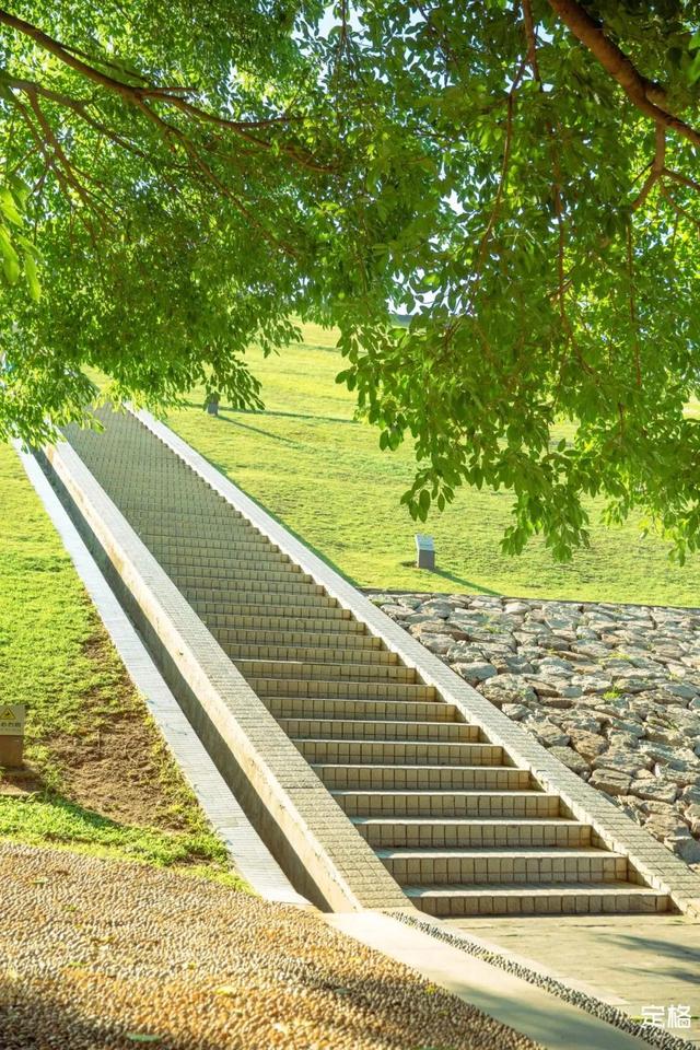 深圳一日游免费必去的地方，深圳最适合一日游的15个免费景点（深圳10个小众打卡地）