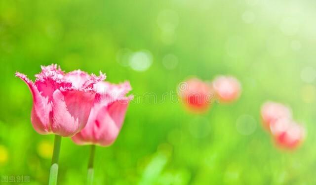 试问苍天饶过谁的上一句，苍天饶过谁的前一句是啥（心怀善念，福气相伴）