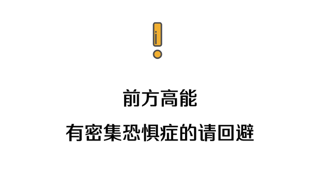 水蚁是什么，水蚁是什么蚂蚁（“水蚁大军”杀到）