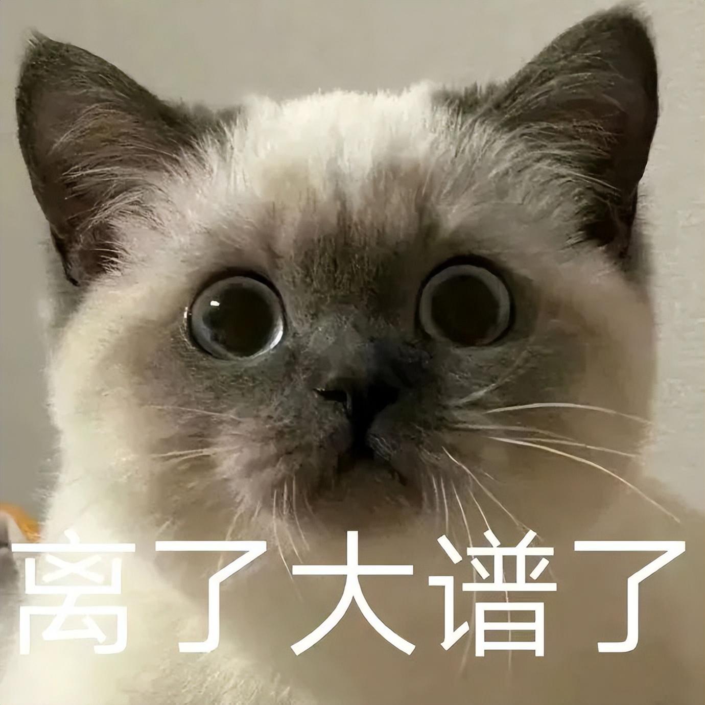 支付宝余额宝(余额宝是干什么的)