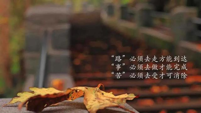 工作励志正能量文案，正能量满满的励志句子有哪些（早安心语，正能量努力工作文案）