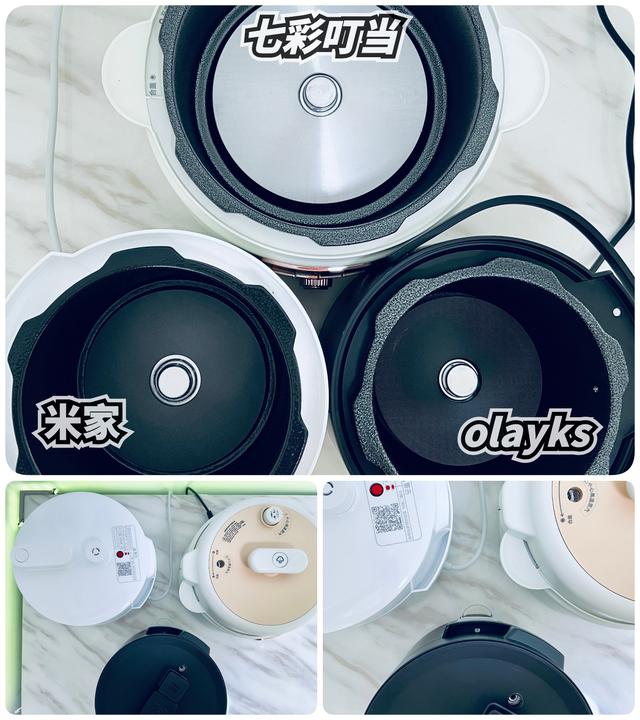 电压力锅炖排骨，电压力锅炖排骨做法（攻略+横评+实测）