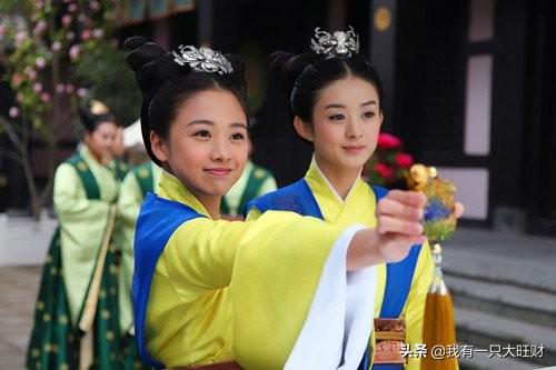 陆贞传奇剧情简介，电视剧陆贞传奇剧情介绍（《陆贞传奇》怕疼的何丹娘）