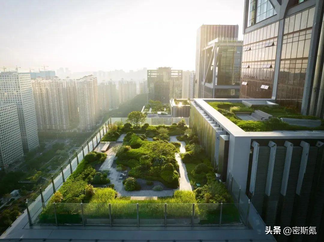 深圳市有几个区(深圳市南山区有几个街道)