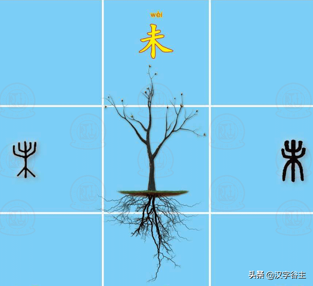 鸯怎么组词，鸯组词三年级（读懂“未、央、未央、夜未央”字词变化）