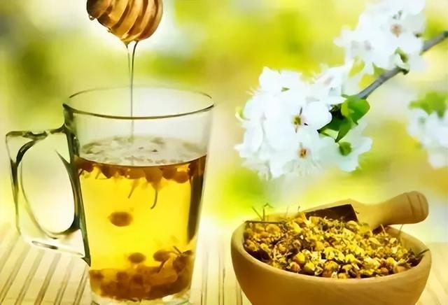 皇菊茶的功效与作用，菊花茶的功效（夏季清心安神 常饮菊花药茶）