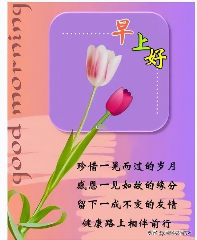 早上问好的暖心句子有哪些，问候的暖心句子早上好（冬季漂亮暖心早安问候温馨图片带字）
