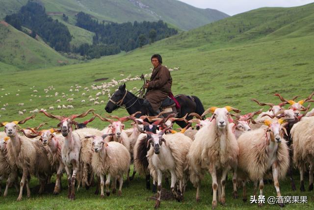 四川有什么好玩的，四川．成都有哪些好玩的地方（四川值得一去的10个地方）