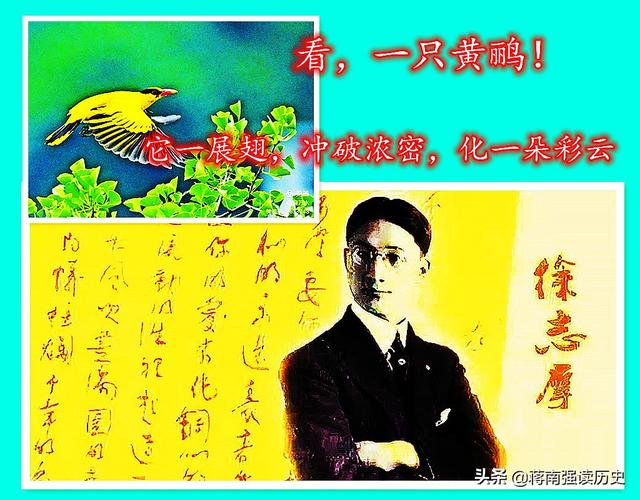 黄鹂是啥季节的鸟，黄鹂是啥季节的鸟类（艳异照亮了浓密——像是春光）