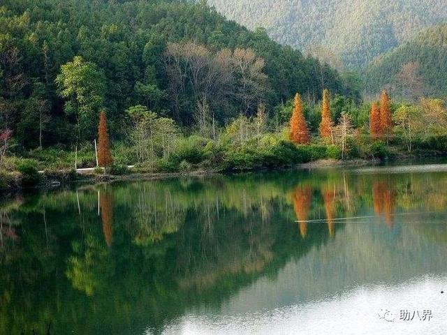 广东省内旅游攻略，广东10大最美自驾线路