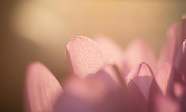 温柔的人是什么样的，性格温柔的女人是怎样的（温柔的人，很难让人不爱）