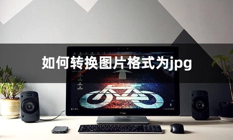 nef怎么转换成jpg格式（图片转换成jpg格式方法）