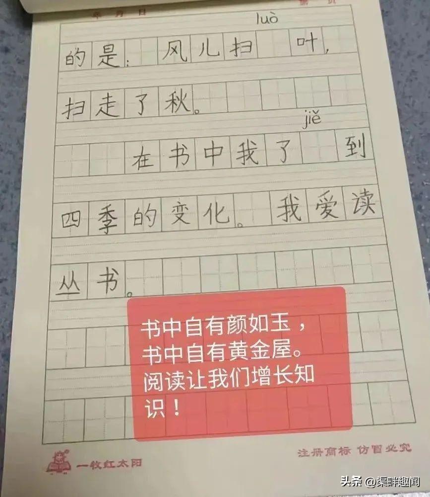 一年级小学生简短感言，简短的一年级成长感言（二实小北校：读书感悟⑤）