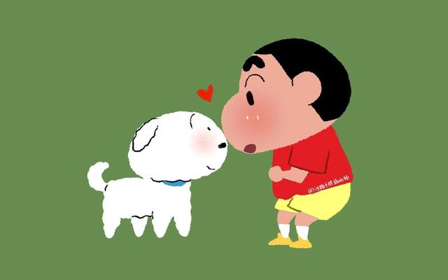平板怎么设置动态壁纸，ipad动态壁纸怎么设置（没有动态的日子也在好好打工）