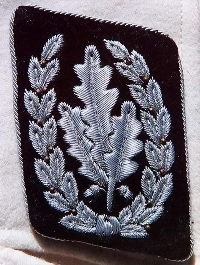 三星两杠什么军衔，关于军衔等级介绍（二战德国党卫军军衔简介）