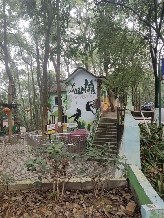 歌乐山森林公园，重庆旅游必去景点（歌乐山国家森林公园）