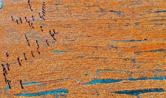 河西走廊位于什么以西，河西走廊是什么意思（一部波澜壮阔的史诗——河西走廊）