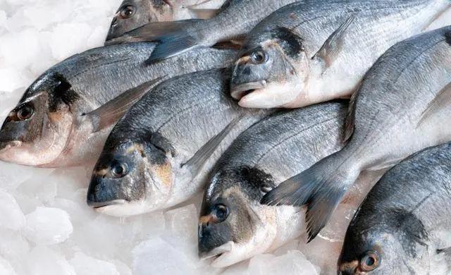 黄花鱼是深海鱼吗，带鱼黄花鱼是深海鱼吗（菜市场看见千万别手软）