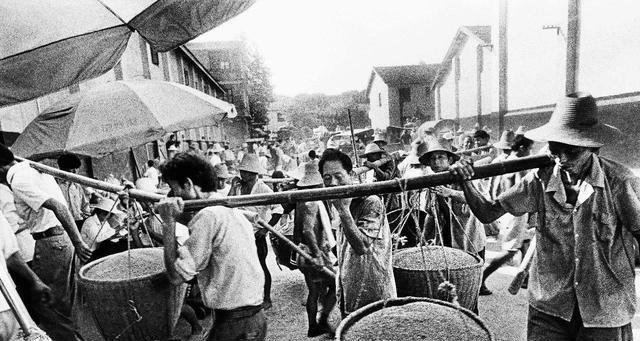 农村取消公粮是哪一年，农民什么时候取消交公粮（5060年代农村要交公粮）