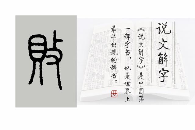会意字有哪些，指事字有哪些（《说文解字》第610课）