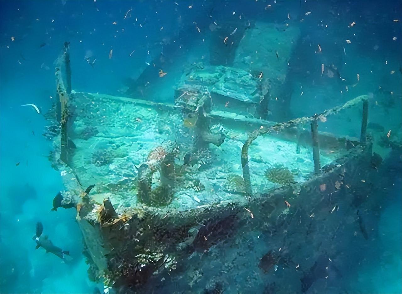 黄金大米的争议事件，黄金大米事件伦理分析（沉睡数十年的阿波丸号被打捞出水）