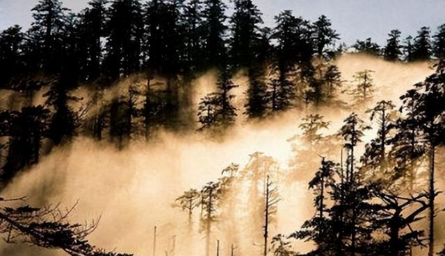 世上十大最诡异的地方，就算给我钱我也不敢去