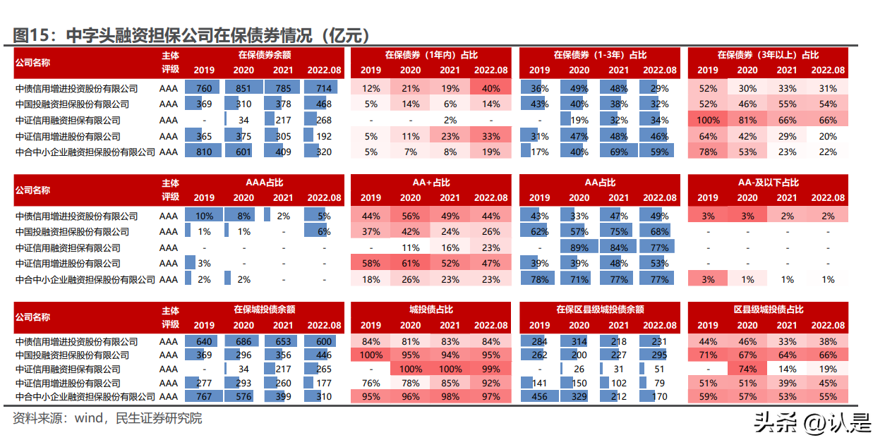 中投融（融资担保专题研究）