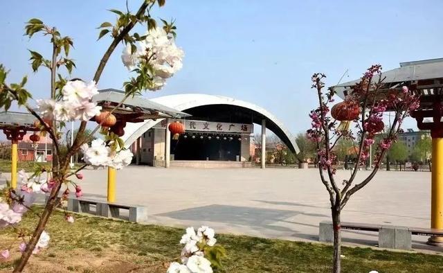 濮阳有什么好玩的景点，濮阳旅游景点推荐一下（行走河南·读懂中国丨不负好春光）