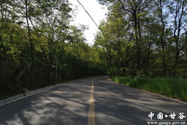 「美丽甘谷」谢家湾梁的春夏秋冬 甘谷最美的公路