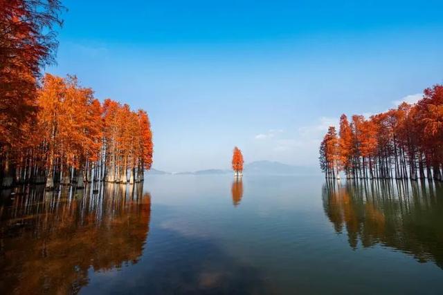 浙江有什么好玩的地方，江浙沪旅游景点推荐（难怪乾隆都念念不忘）