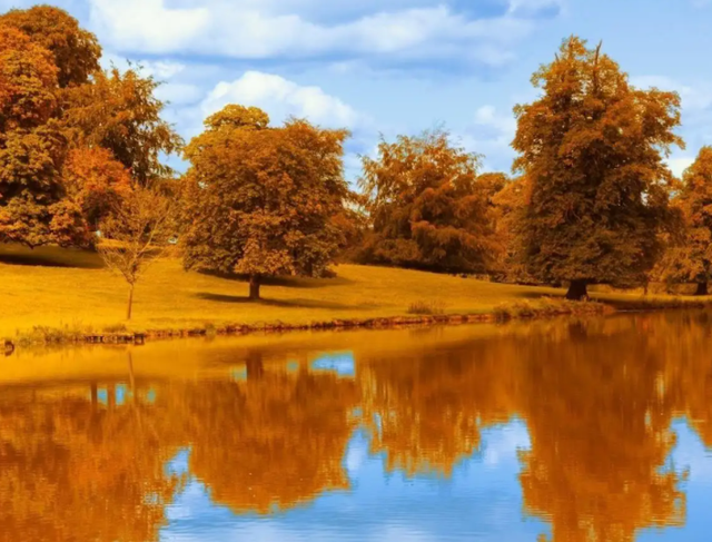 优秀到别人羡慕的星座女，颜值爆表到别人羡慕的星座女（爱情事业都顺利）