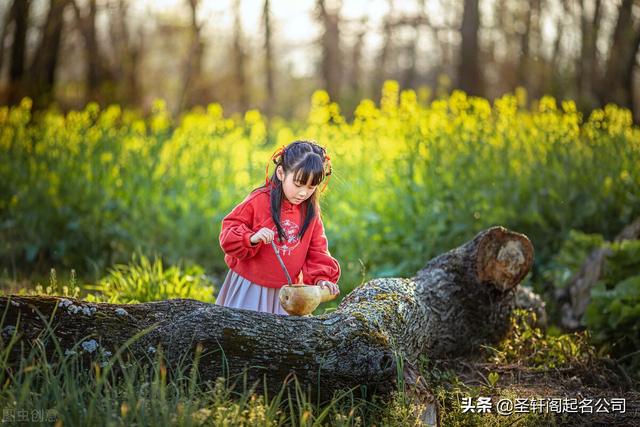 属虎女人吉祥好运微信名字，属虎的微信昵称好运健康（属虎女孩不容错过的古风美名大全）