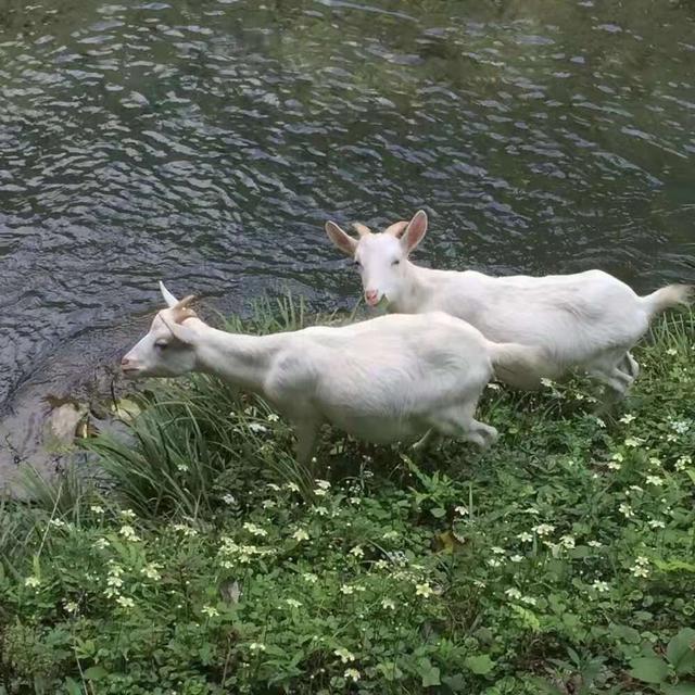 失望的网名，对一个人心寒失望的网名（文案丨“满眼失望的短句文案”）