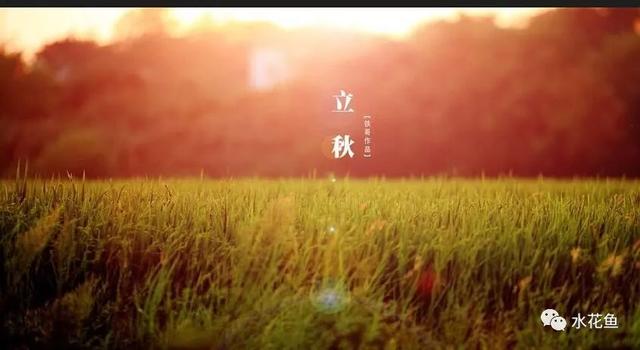 炖鱼需要多长时间，炖鱼多长时间（鱼类发病的四个主要时段——两个发病高峰期、两个鱼病易发阶段）