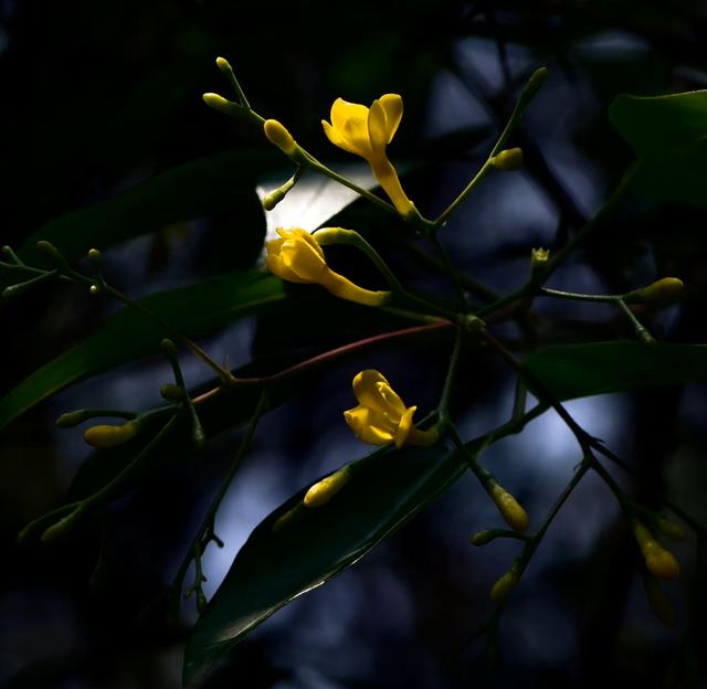 纸花怎么做简单又漂亮，怎么做简单又漂亮的纸花（小小的花朵）