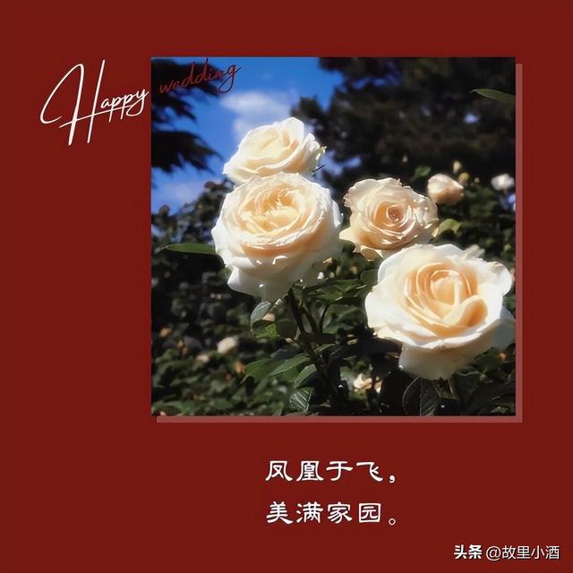 新婚祝福简短话，新婚祝福小短句（新婚祝福语：举案齐眉）