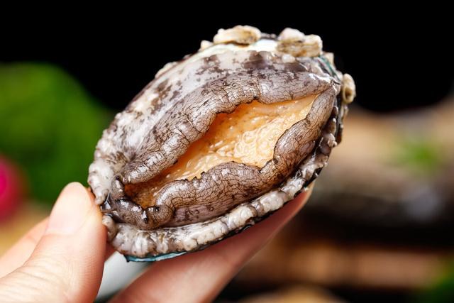 胶东海参，最便宜的也要好几百（胶东海参和辽参哪个好）