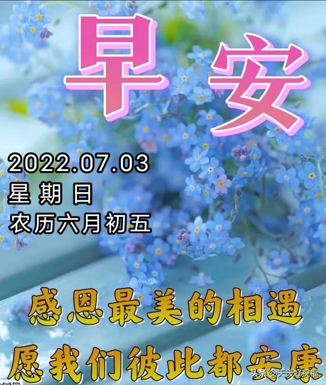七开头的成语祝福，七字开头的成语祝福语（开心就对；健康长寿）